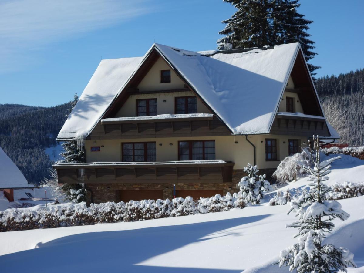 Pension Aspen Špindlerŭv Mlýn 外观 照片